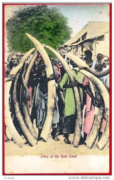 IVORY AT THE EAST COAST 1906. Rare Card. - Tanzanie