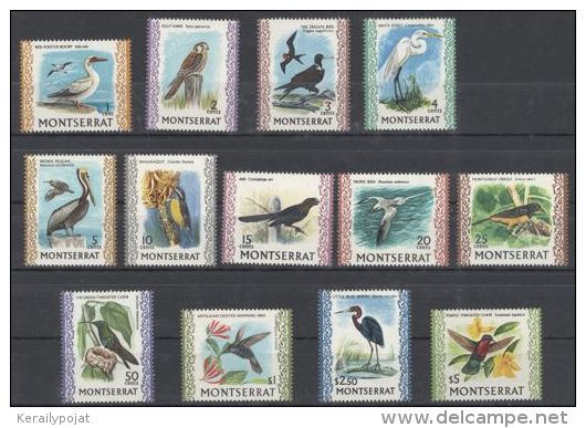 Montserrat - 1970 Birds MNH__(THB-52) - Montserrat