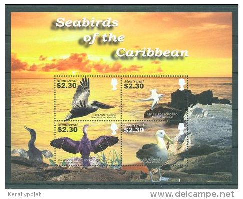 Montserrat - 2005 Seabirds Kleinbogen MNH__(THB-47) - Montserrat