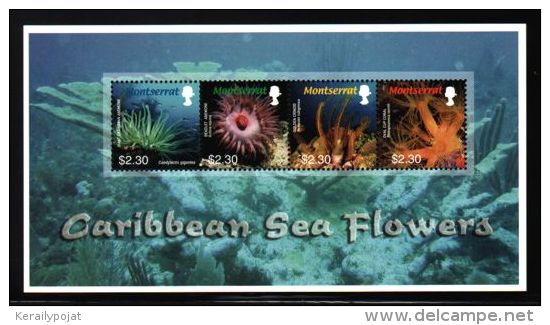 Montserrat - 2006 Sea Flowers Kleinbogen MNH__(THB-3068) - Montserrat