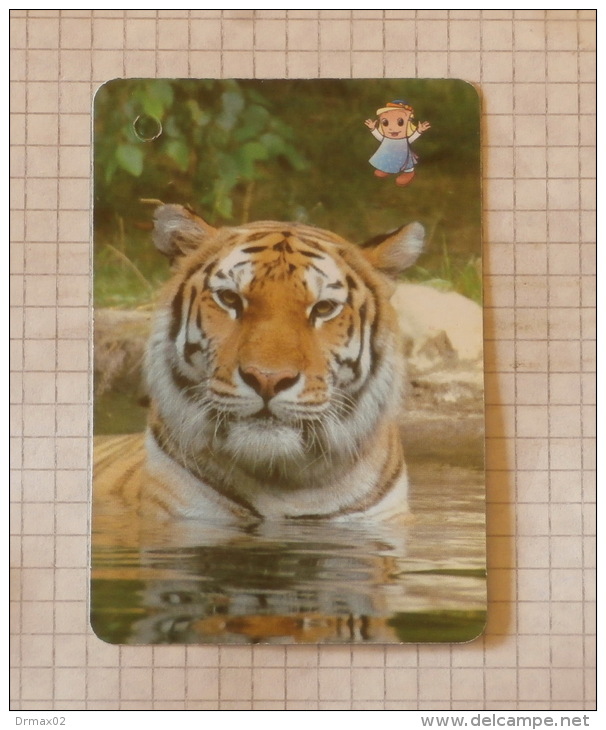 TIGAR   - Nature SERBIA ´70 (Yugoslavia) Tigre Tiger / Wild Cat, Chat Gatto Katze Gato / Animal - Other & Unclassified