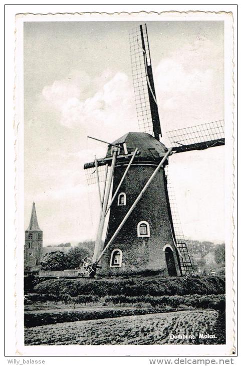 "Domburg - Molen" - Domburg