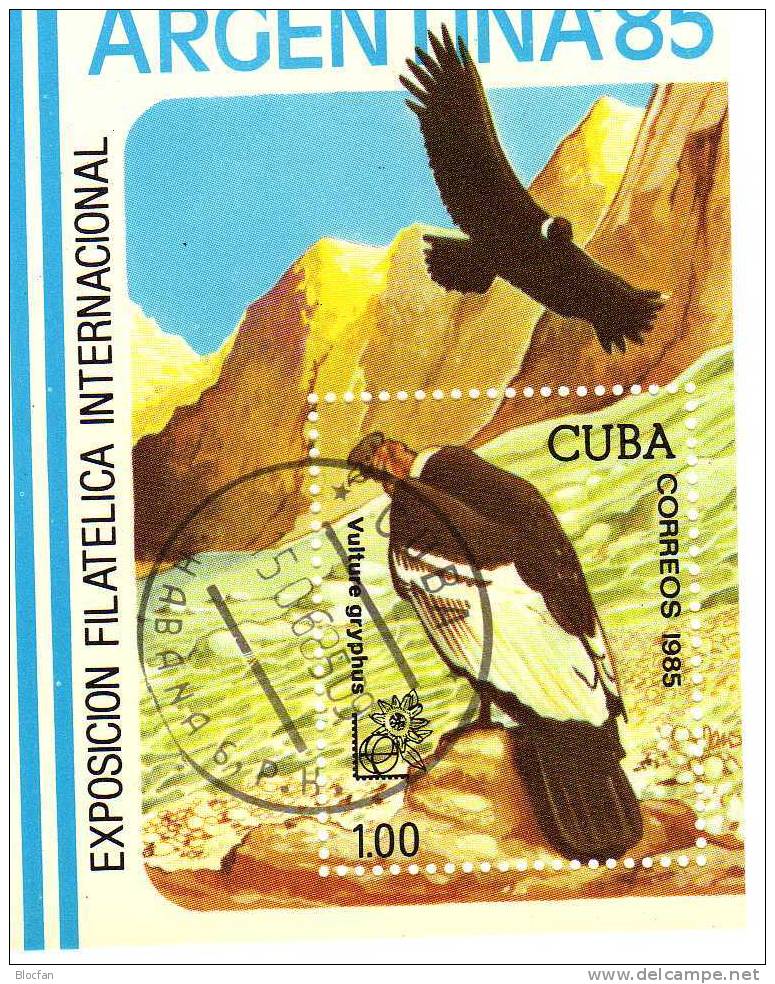 ARGENTINA 1985 Buenos Aires Kondor-Flug Kuba 2953 Plus Block 90 O 9€ Blocchi Hoja M/s Philatelic Bloc Bird Sheet Of Cuba - Blocs-feuillets