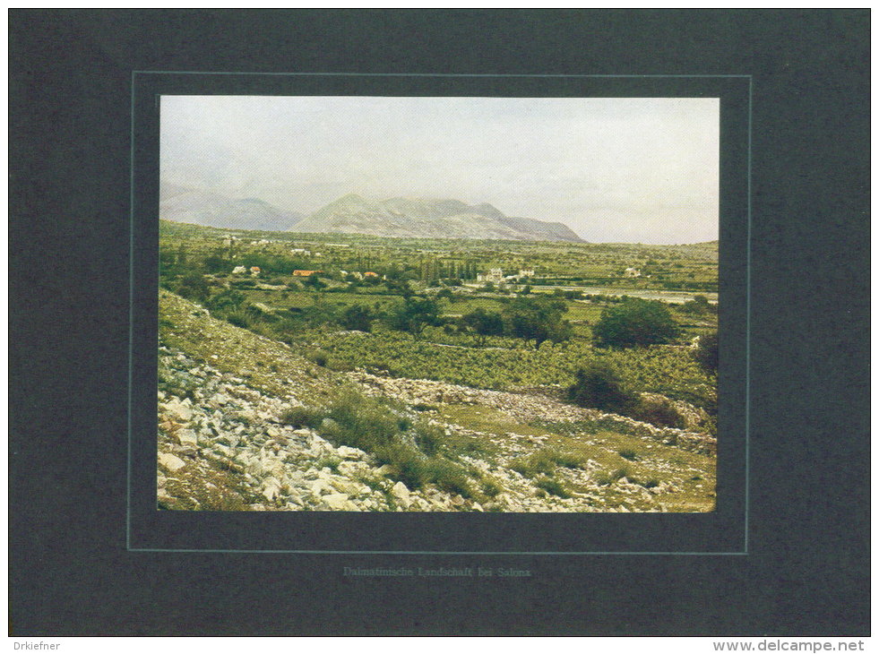 Dalmatinische Landschaft Bei Salona, Foto-Kunsttafel 34, J.Emmer: Welt In Farben, 1906 - Lieux