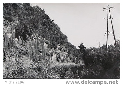 Photo De CAROLLES  La Tranchée Désafectée Cliché Schnabel - Autres & Non Classés