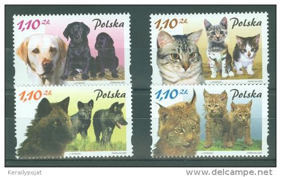 Poland - 2002 Cats And Dogs MNH__(TH-7731) - Unused Stamps