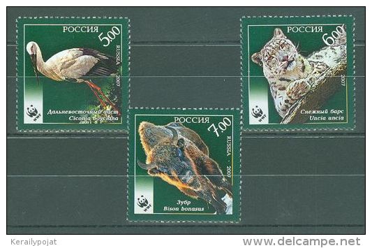 Russia Federation - 2007 Endangered Animals MNH__(TH-9556) - Neufs