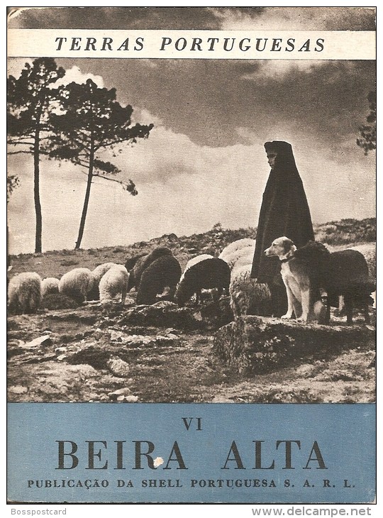 Beira Alta. Viseu. Vouzela. Guarda.Travanca. S. Pedro Do Sul. Aguiar Da Beira. Lourosa. Sabugal (6 Scans) - Alte Bücher