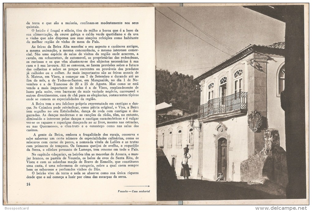 Beira Alta. Viseu. Vouzela. Guarda.Travanca. S. Pedro Do Sul. Aguiar Da Beira. Lourosa. Sabugal (6 Scans) - Oude Boeken