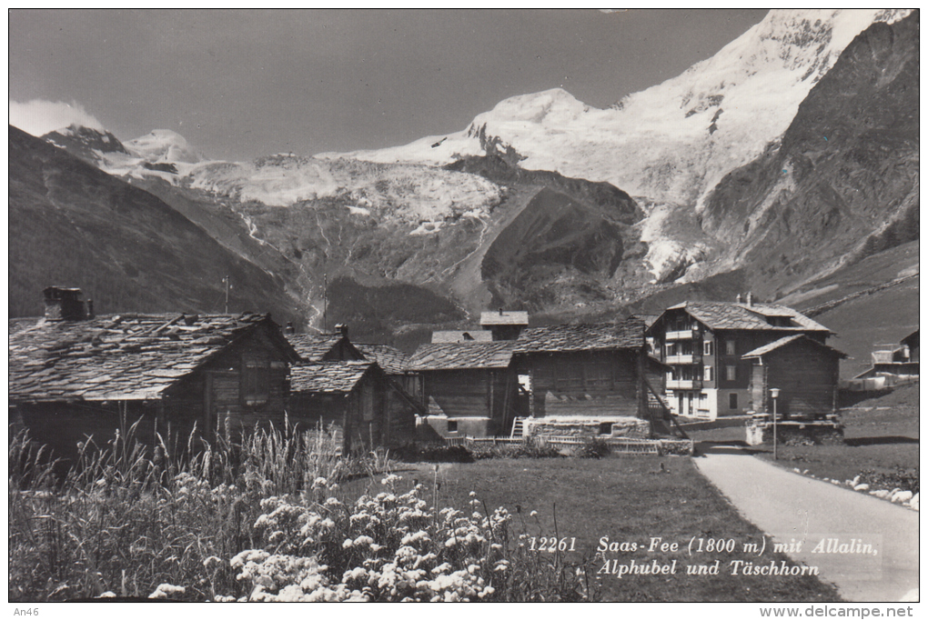 SAAS-FEE Mit ALLALIN, ALPHUBEL Und TASCHHORN - Täsch