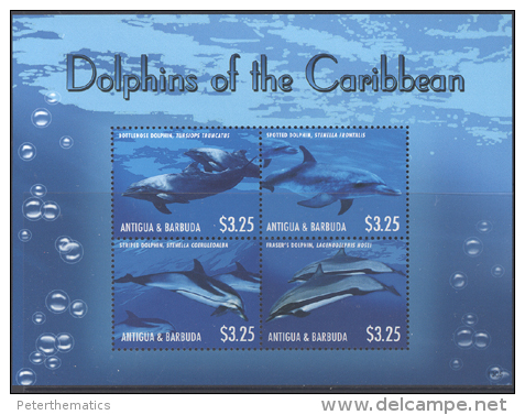 ANTIGUA,2013,DOLPHINS, SHEETLET+ S/SHEET,MNH . - Dolphins