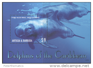 ANTIGUA,2013,DOLPHINS, SHEETLET+ S/SHEET,MNH . - Dolphins