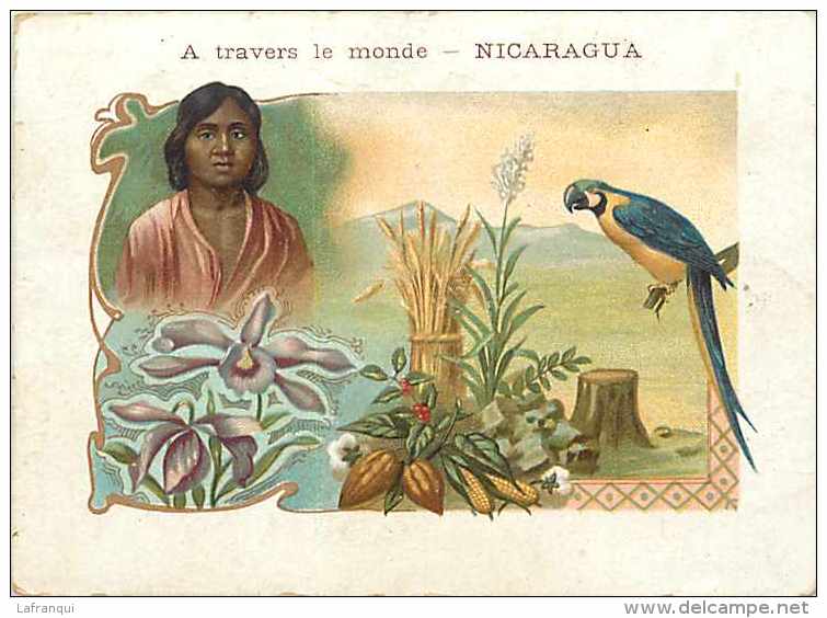 Pays Divers -ref A385-nicaragua  - Perroquet  -carte Bon Etat  - - Nicaragua