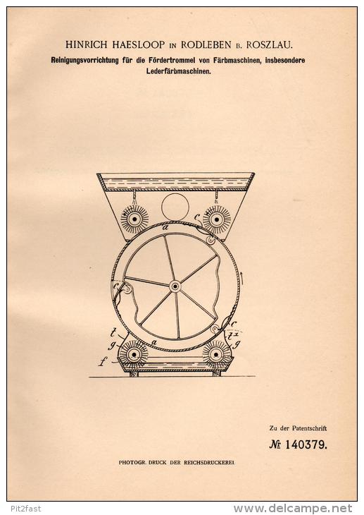 Original Patentschrift - H. Haesloop In Rodleben B. Roßlau , 1902 , Apparat Für Leder - Färbemaschine , Dessau !!! - Historical Documents