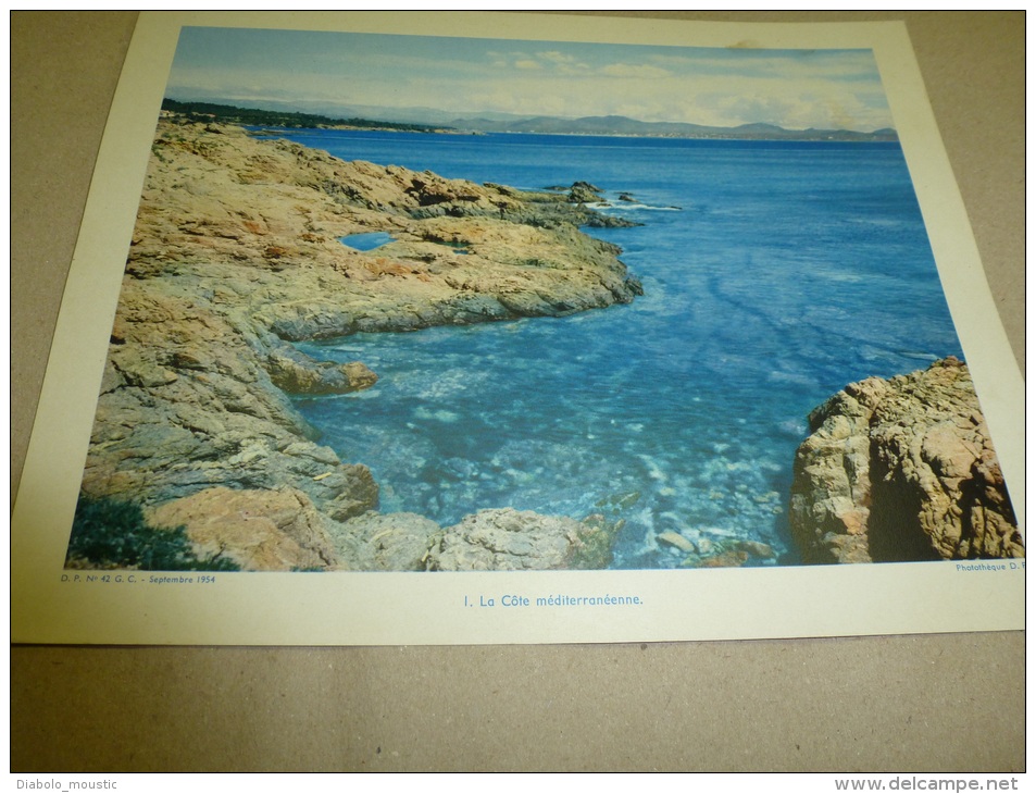 Année 1954  Grande Photographie En Couleurs Un COIN Perdu De La CÔTE Méditerranéenne   (27cm X 21cm) - Lieux