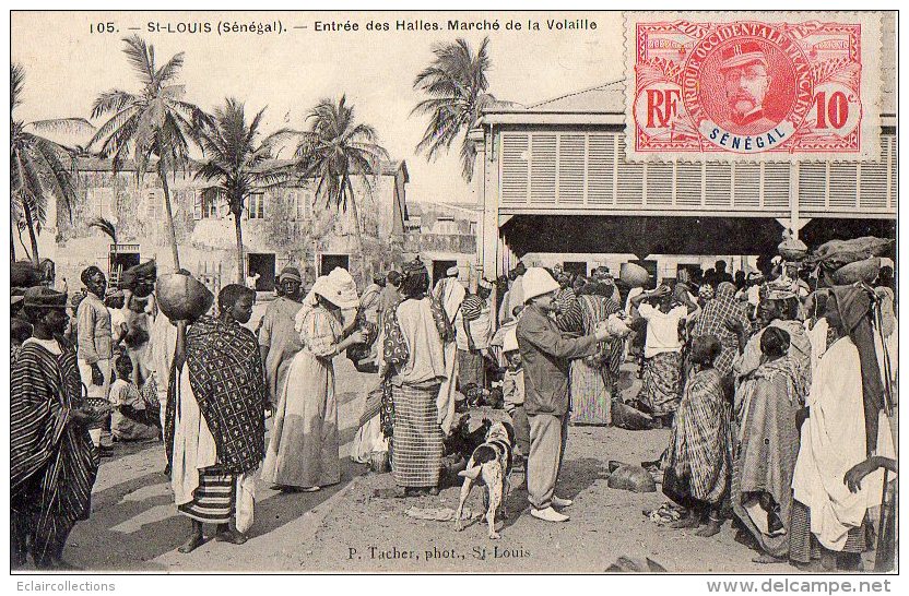 Afrique Noire. Sénégal   Saint Louis:  Marché  A La Volaille   (Voir Scan) - Sénégal