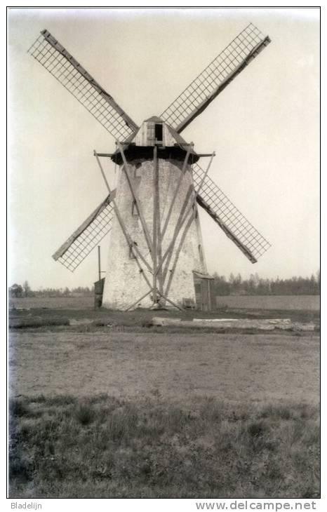 LILLE (Prov. Antw.) - Molen/moulin - Maxikaart Van De Stenen Molen (grondzeiler), Langs De Steenweg Naar Wechelderzande - Lille