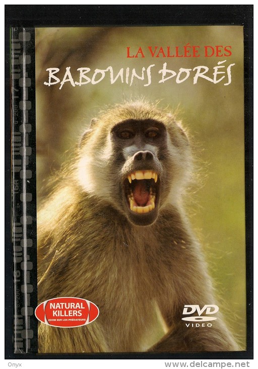 DVD - LA VALLEE DES BABOUINS DORES - Documentaires