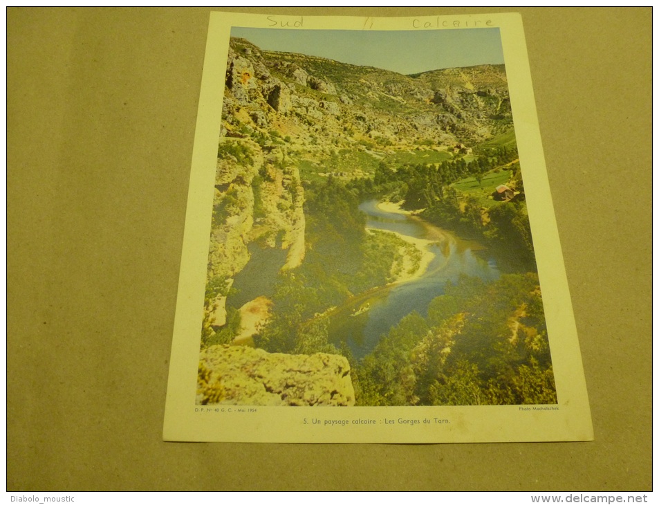 Photo Machatschek 1954  Grande Photographie En Couleurs (27cm X 21cm)  Les GORGES Du TARN. - Places