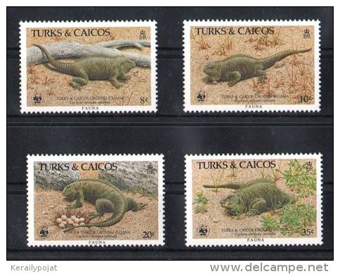 Turks And Caicos - 1986 Iguanas MNH__(TH-5464) - Turks And Caicos