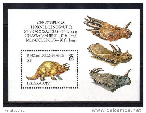 Turks And Caicos - 1993 Triceratops Block MNH__(TH-3910) - Turks E Caicos