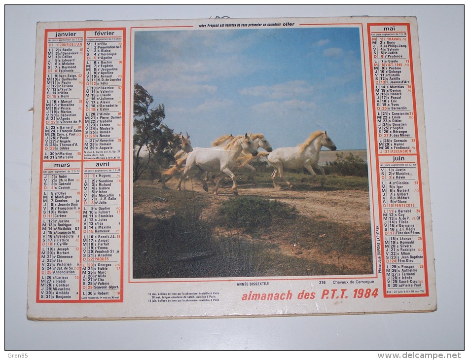 1984 CALENDRIER (double) ALMANACH DES PTT P T T, EPAGNEUL BRETON, CHEVAUX DE CAMARGUE, OLLER, ARDENNES 08 - Grand Format : 1981-90