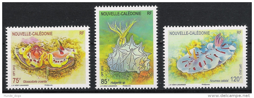 Neukaledonien Caledonie 2012 Fauna Nudibranche Schnecken Mi# 1583-85 ** MNH - Neufs