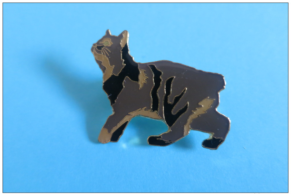 BROCHE ... CHAT ... MANX - Brooches