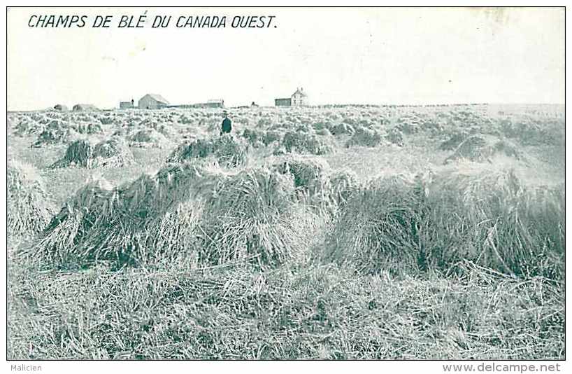 Pays Divers  - Canada - Ref 650  -champs De Blé Du Canada Ouest -publicité Au Verso Atlas Du Canada - Carte Bon état - - Sin Clasificación