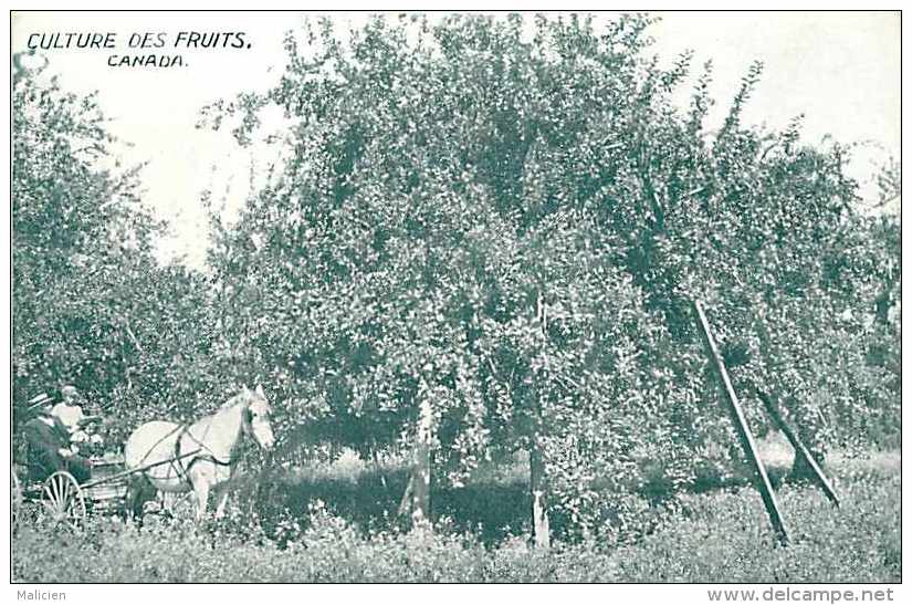 Pays Divers - Canada -ref 648-culture Des Fruits  -publicité Au Verso Pur Atlas Du Canada- Carte Bon état - - Non Classés