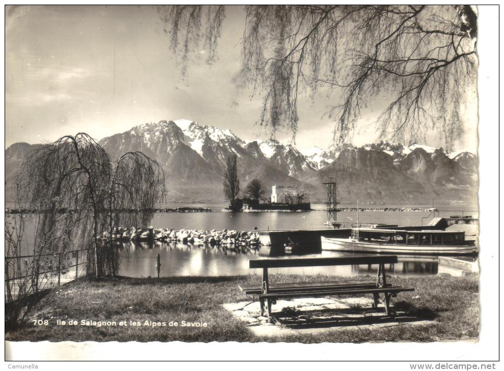 Lle De Salagnon Et Les Alpes Savoie - Agno