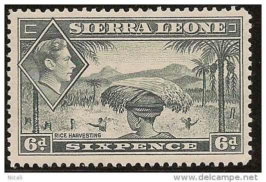 SIERRA LEONE 1938 6d Grey KGVI SG195 M PL02 - Sierra Leone (...-1960)
