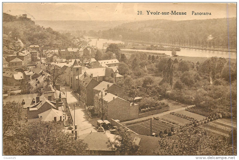 BELGIQUE - YVOIR SUR MEUSE - Panorama - Yvoir