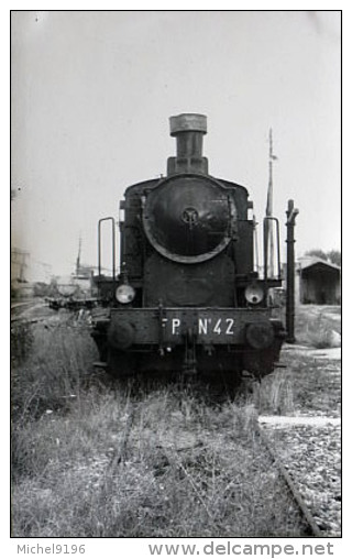 Photo Loco  Des F.P N° 42 Ligne FERRARA -OSTELLATO-CODIGORO Col Schnabel - Matériel