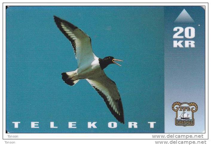 Faroe Islands, OD-007, Oystercatcher, Bird, 2 Scans. - Féroé (Iles)