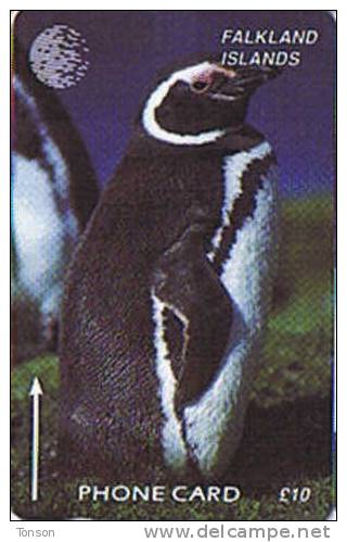 Falkland Islands,  £10, Jackass Penguin (reprint), CP : 6CWFA . - Falkland