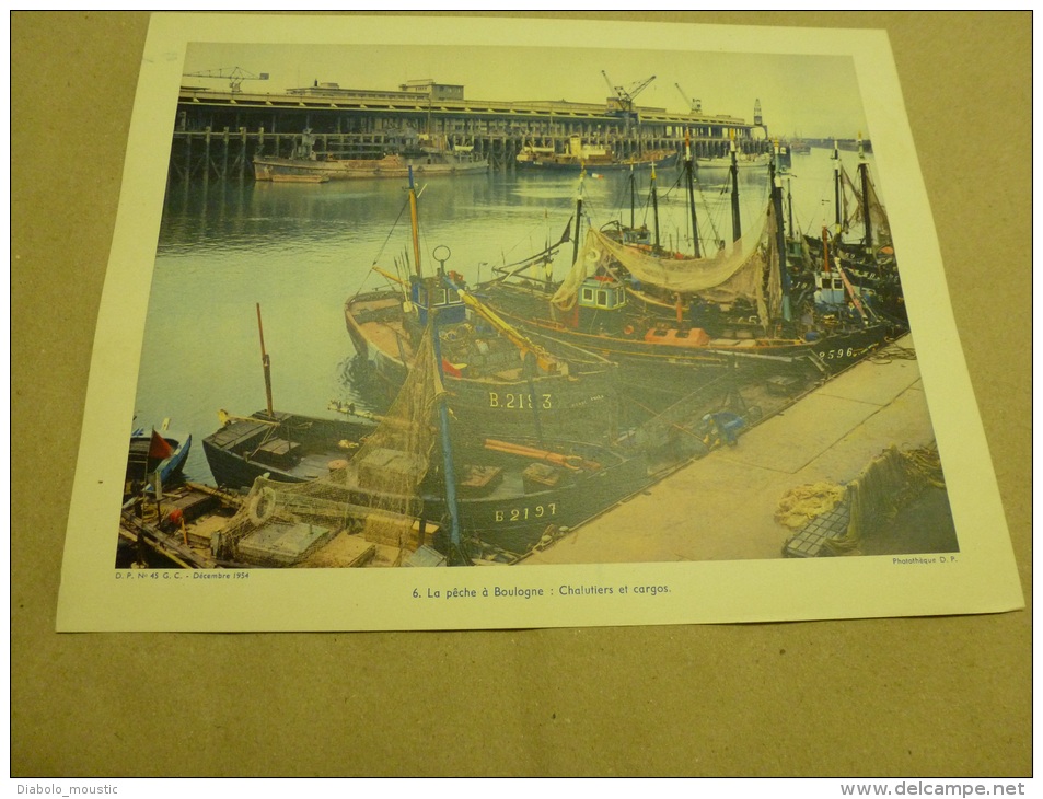 Année 1954 Grande Photographie En Couleurs (27cm X 21cm) Chalutiers Et Cargos (gros Plan) Identifiés  à BOULOGNE - Bateaux