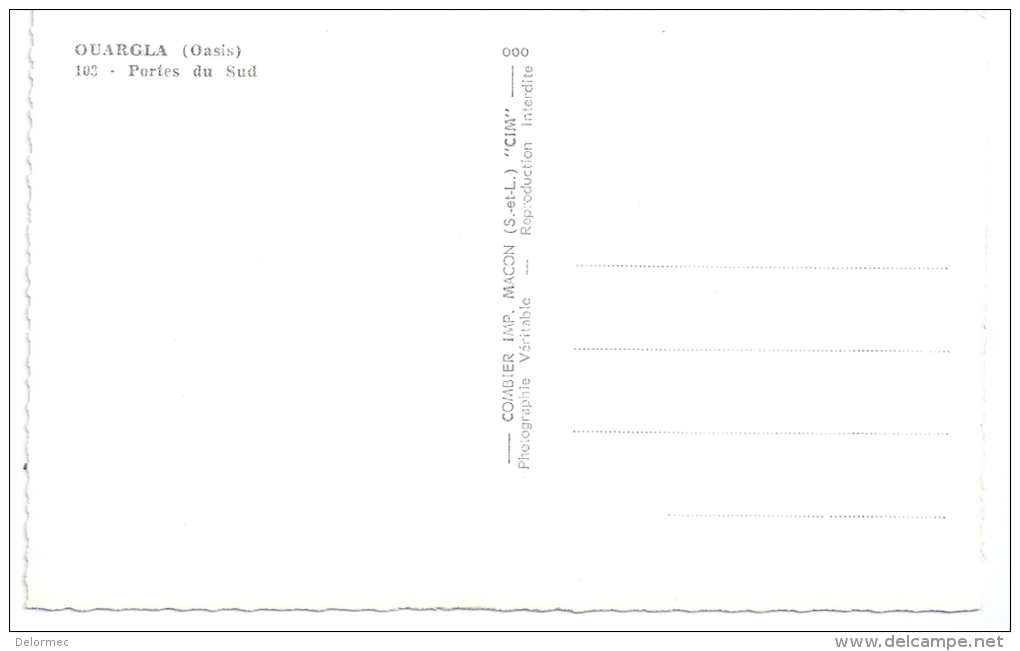 CPSM Photo Ouargla Algérie Oasis Porte Du Sud édit CIM N°103 Non écrite Très Bon état - Ouargla