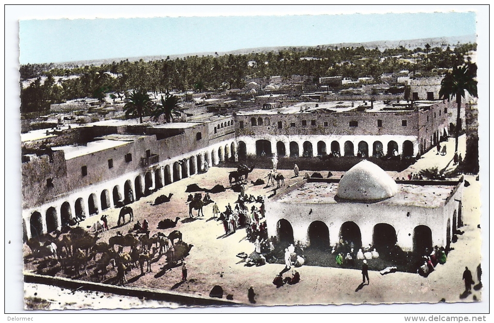 CPSM Photo Ouargla Algérie Oasis Place Du Marché édit CIM N°101 Non écrite Très Bon état - Ouargla