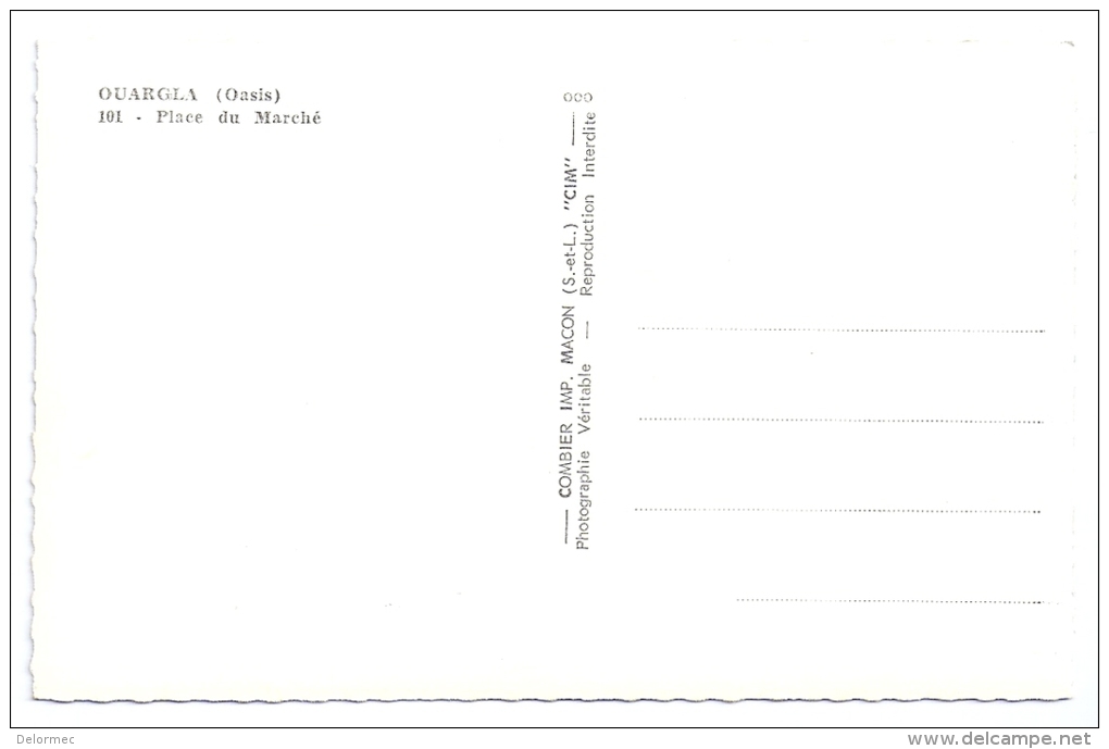 CPSM Photo Ouargla Algérie Oasis Place Du Marché édit CIM N°101 Non écrite Très Bon état - Ouargla