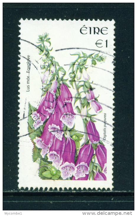IRELAND - 2004 Flower Definitives 1 Euro Used As Scan - Usati
