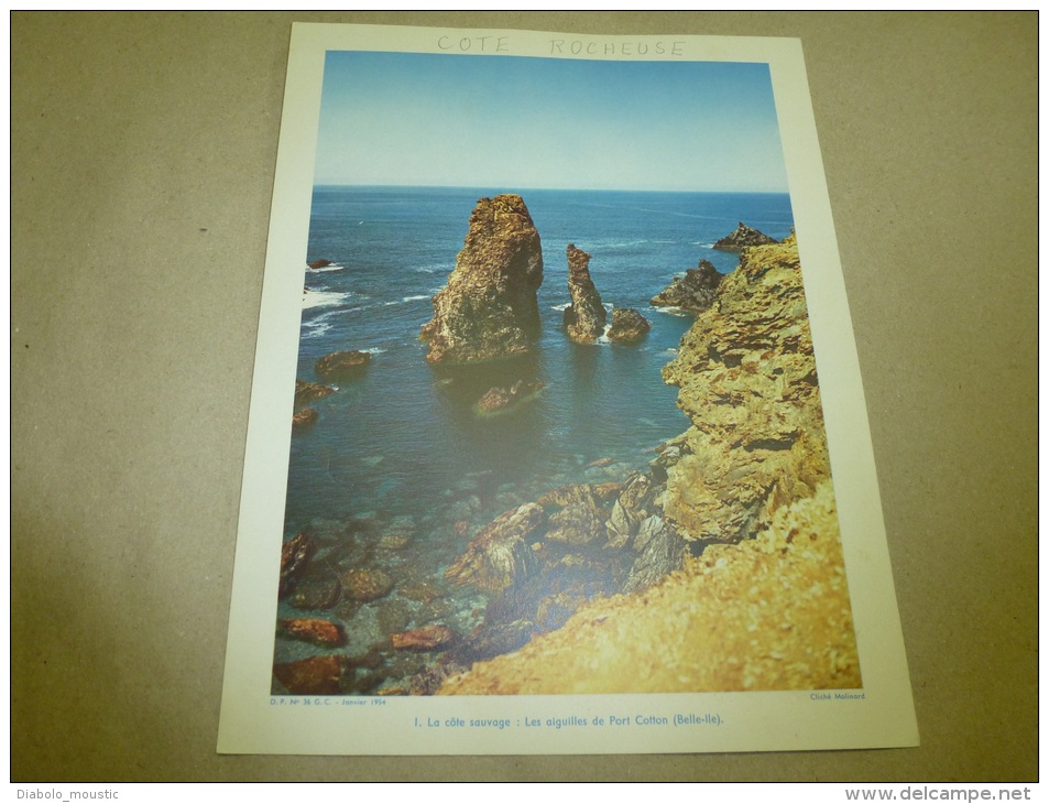 1954 Grande Photo En Couleurs De Molinard (27cm X 21cm)  Les Aiguilles De PORT COTTON (Belle-ile)  Envoi Gratuit - Orte