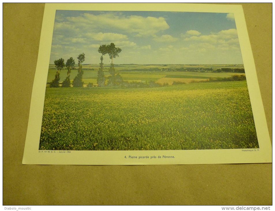 1955 Grande Photo En Couleurs (27cm X 21cm)  La Plaine Picarde Près De PERONNE..  Envoi Gratuit - Lieux