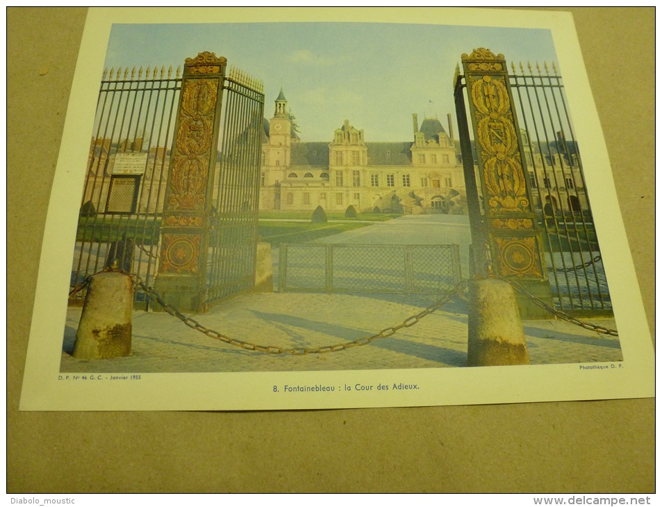 1955 Grande Photo En Couleurs (27cm X 21cm) FONTAINEBLEAU   La Cour Des Adieux..  Envoi Gratuit - Lieux