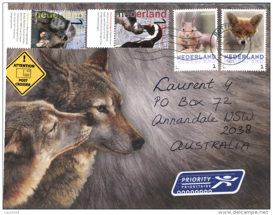 (223) Wolf - Loup (this Is A Folded Card And Envelope From Netherlands) - Schildkröten