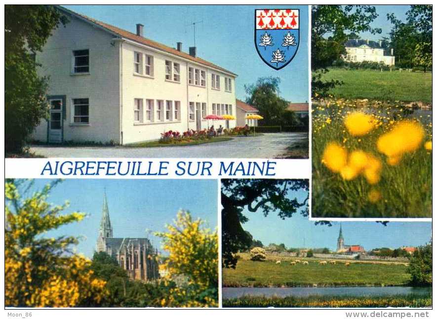 44- AIGREFEUILLE SUR MAINE - - Aigrefeuille-sur-Maine