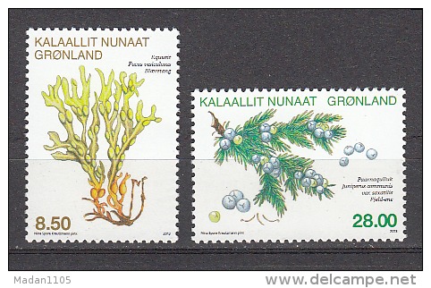 GREENLAND, 2013, Herbs, Plants, Set 2 V,   MNH, (**) - Otros & Sin Clasificación