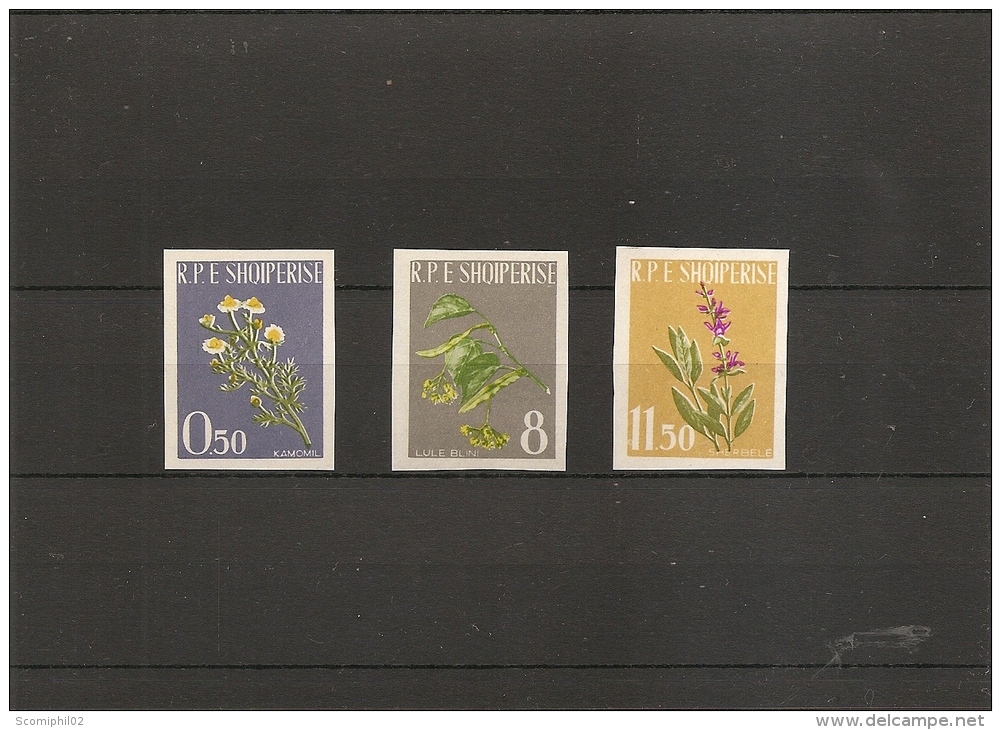 Pharmacie -Plantes Médicinales ( 573/75 Non Dentelés Xxx -MNh- D'Albanie ) - Farmacia