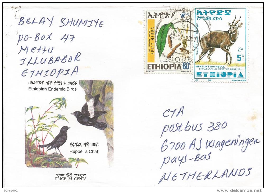 Ethiopia 2001 Gore Spices Herbs Bushbuck Antilope Cover - Ethiopië