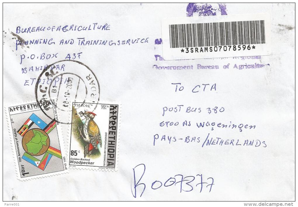 Ethiopia 2000 Bahirdar Cooperation Woodpecker Registered Cover - Ethiopië